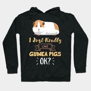 I Just Really Like Guinea Pigs OK? Funny Guinea Pig Hoodie